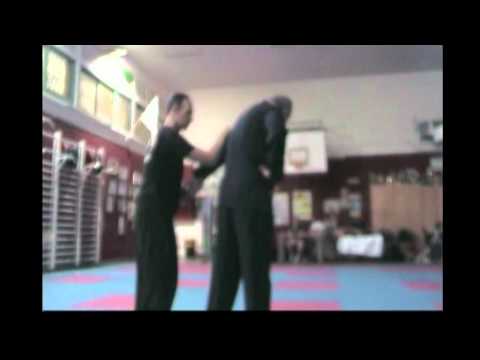 Seminar Kung Fu  Wing Chun in Ashdod