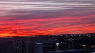 Delta Hotels Calgary Downtown Room View Arrival Day