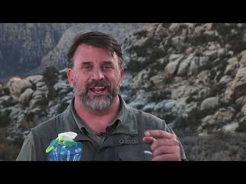 Frank Ruggles For Vapur