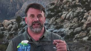 Frank Ruggles for Vapur