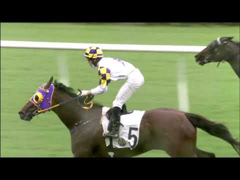 13/6/2021 (752) City Legend - Jerry Chau