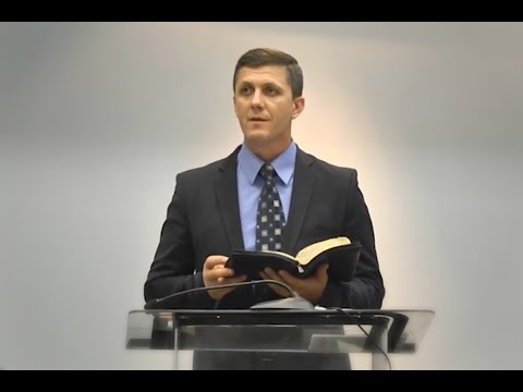 Nelu Brie - La proba focului