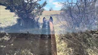 Video 1