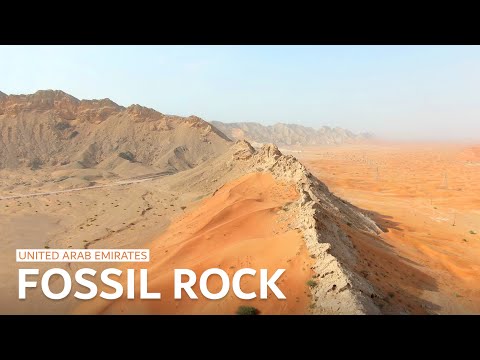 Fossil Rock - United Arab Emirates