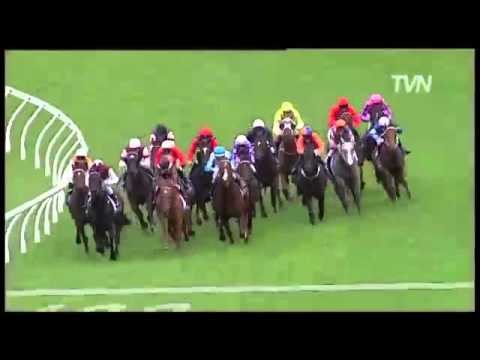 Watch Overreach (Exceed And Excel) win the G1 Golden Slipper at Rosehill, Australia, 2013