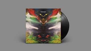 Portable - Reeva Numbers