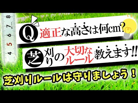 芝刈りのための11のヒント トピックス