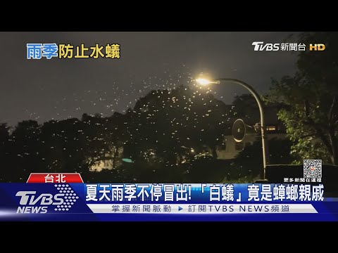 防止白蟻入侵