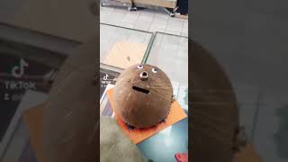 Download lagu Bikin Prakarya lagi Buat Keponakan, Celengan Batok Kelapa, Simple Saja #IdeKreatif Sederhana, mp3