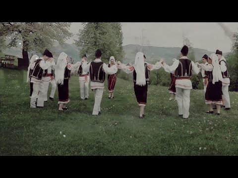 Dj Go! - Hora Stramoseasca (Stefan Legacy Vers) Free Wav Download