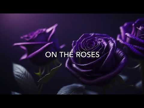 The Chainsmokers Ft ROZES X Nikademis, Sadbois,  Meggie York - On The Roses( Dj Marky Mashup Remix )