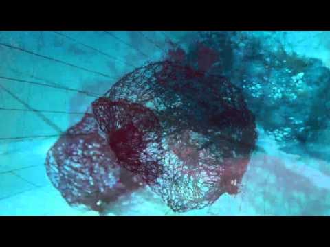 ghostnets total  vernetzt-HD