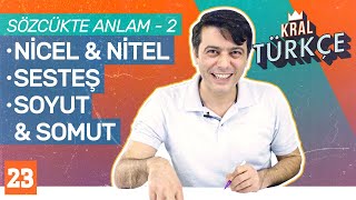 Sözcükte Anlam 2: Ad Aktarması, Nicel Anlam, Deyim Aktarması, Somut Anlam | 8. Sınıf Türkçe #23