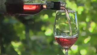 preview picture of video 'Viljoensdrift Wine Farm Robertson Wine Valley Western Cape'