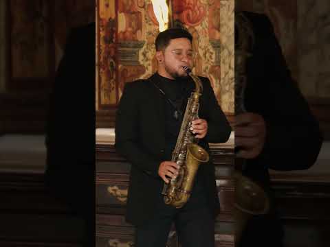 Lírio Mimoso no Santuário Madre de Deus #Shorts #PNABVigia #CirioDeVigia