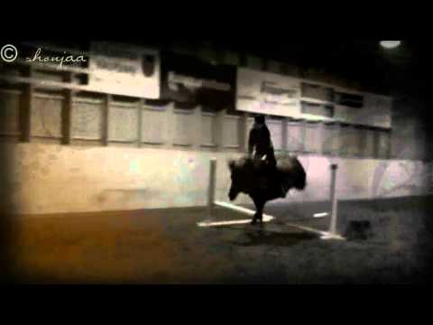 ;: The best thing; ever happened to me :;