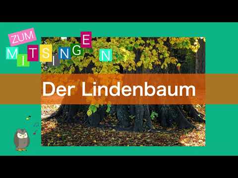 Singen Sie! Vol.8 – Der Lindenbaum