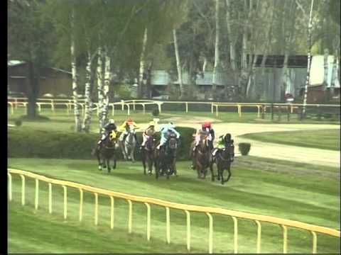 LL, 1. 5. 2016, 2. dostih - STEEPLECHASE NutriHorse