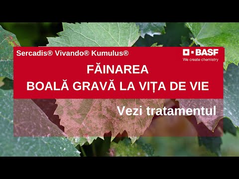 Kumulus BASF Fungicid