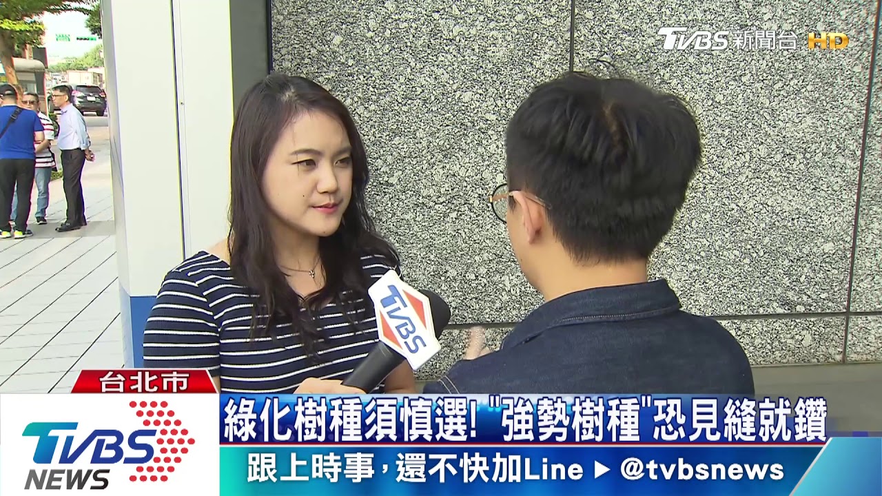 屋頂沒人管!樹根鑽牆、侵管線 恐斷水電