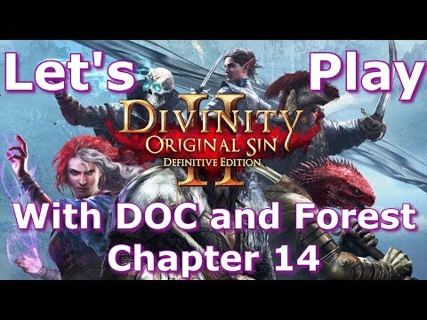 Divinity: Original Sin 2 - Definitive Edition | Part 14