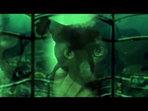 K''st - Sen yetkili bi abiye benziyon (VR Video)