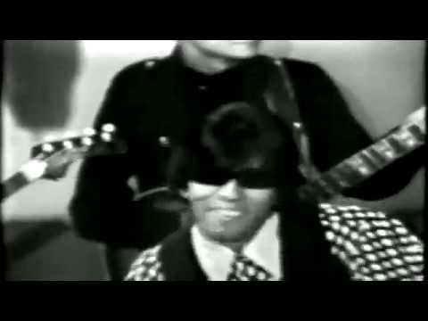 Question Mark  The Mysterians 96 Tears HQ