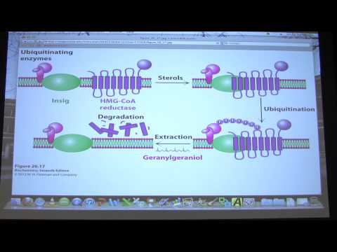 #36 Biochemistry Cholesterol in the Body Lecture for Kevin Ahern's BB 451/551