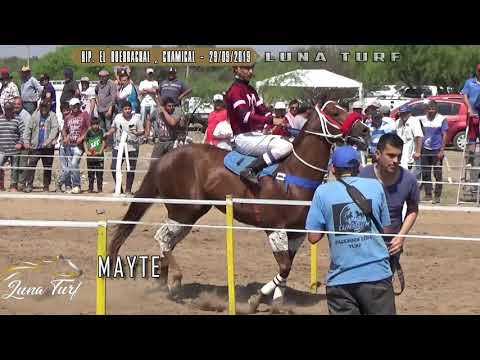 HIP. "EL QUEBRACHAL" EN CHAMICAL L.R. 29/09/2019 - MALVINA, DOMINGUITO, MAYTE-CABURE-GRINGO-QUEBRA