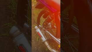 Download lagu story wa herex❗️gl herex dan tiger herex#story #status #storywa #shortvideo #short mp3 Download lagu story wa herex❗️gl herex dan tiger herex#story #status #storywa #shortvideo #short mp3