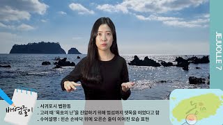배염줄이