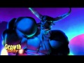 The Wildebeest The Wild FullHD SLOMO