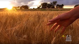 Where Can I Turn for Peace? (arr. Mack Wilberg) - The Tabernacle Choir