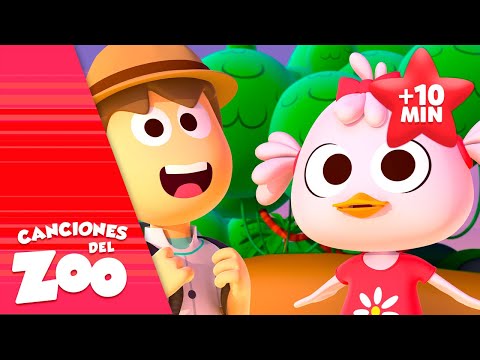 ¡Acampando Con Amigos! y Más Episodios del Zoo | Canciones del Zoo