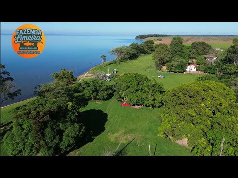 VOCE TEM QUE FAZER UM ACAMPAMENTO AQUI (FAZENDA LIMEIRA ANAURILANDIA MS)