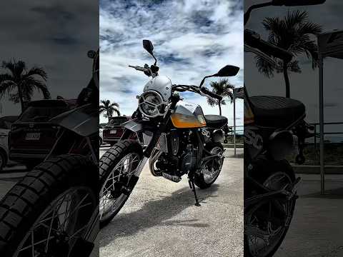 FKM EXPRESS 500 SC 🔥 #fkm #fkmphilippines #fkmexpress500sc #scrambler #500cc #motorcycle #shorts