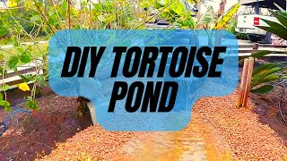 Sulcata Enclosure | DIY Tortoise Pond
