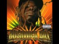 BUSHWICK BILL 3 Hard Headz