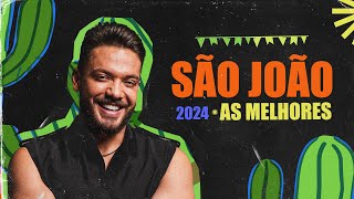 São João 2024 - As Melhores