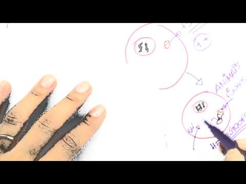 Me Salva! OV06 - A origem das células eucarióticas (Teoria endossimbiótica)