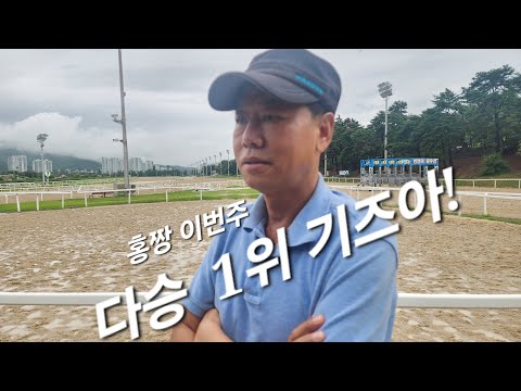 홍짱 이번주 다승 1위 가즈아!