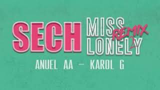 Sech - Anuel AA - Karol g Miss LONELY remix 2