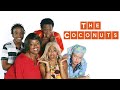 The Coconuts Season 1 Episode 5 L Sitcom