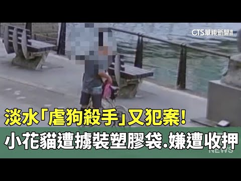 淡水「虐狗殺手」又犯案！　小花貓遭擄裝塑膠袋　嫌遭收押