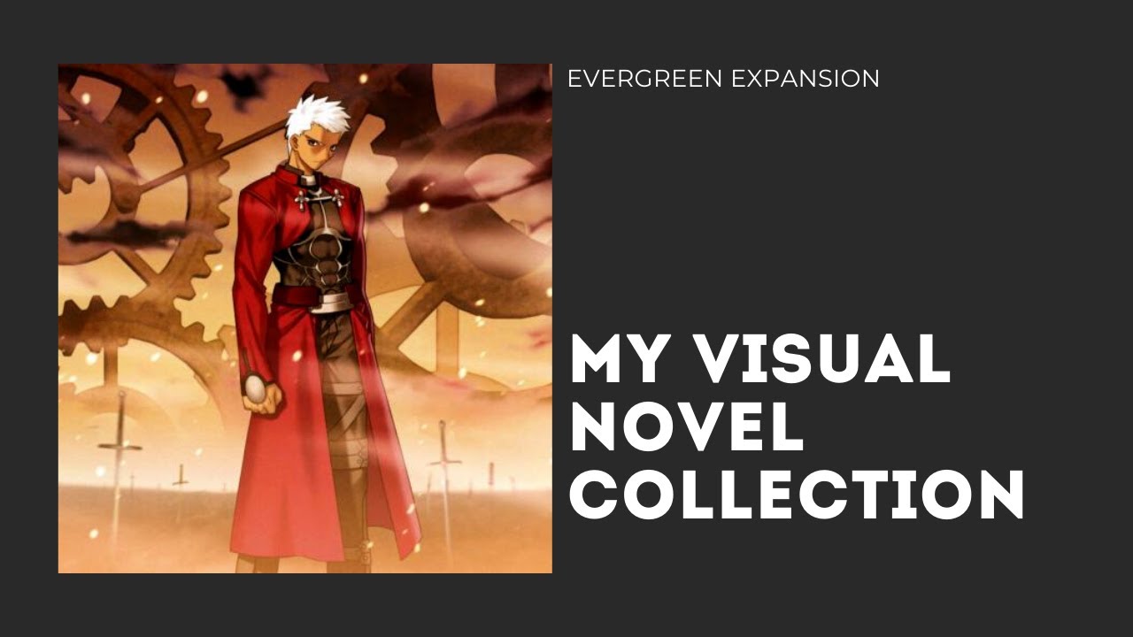 Physical Visual Novel Collection (Fate/Stay Night, Higurashi, Baldr Sky and more)