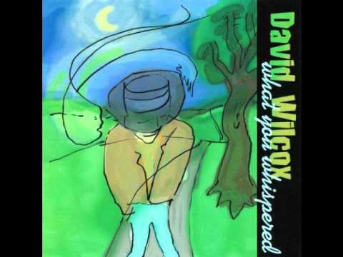 Videoclip de In The Broken Places — David Wilcox