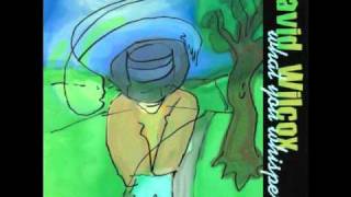 David Wilcox - What you Whispered - In the Broken Places