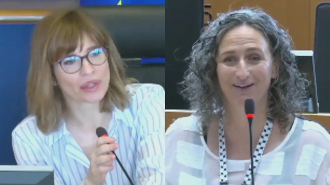 Language complaint during EU meeting backfires in awkward interaction
