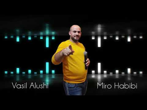 Vasil Alushi - Sinan miro habibi (Official Audio)