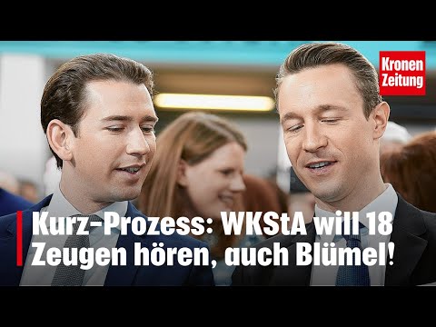 Blümel als Zeuge beim Kurz-Prozess | krone.tv NEWS